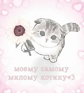 🌟 милые, sticker Telegram 18 sur 44