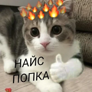 Милые пикчи.