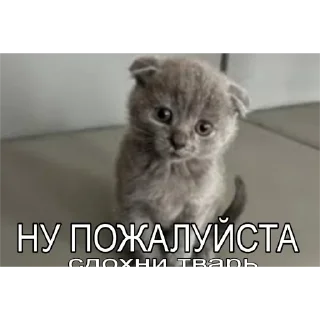 😖 Милые мрази, Telegram sticker 23 of 23