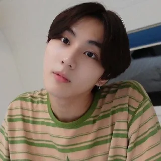 🎀 ☆*:.｡. jungwon.｡.:*☆, sticker Telegram 23 sur 30