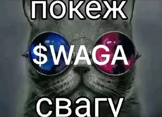 😎 fuck life, I don't care, стикер Telegram 11 из 60