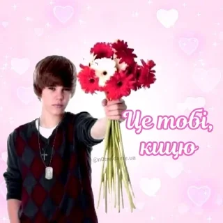 🌟 циця, sticker Telegram 24 sur 61