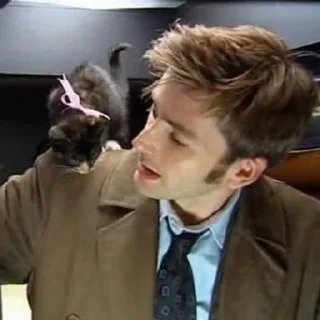 😺 Doctor Who by: @setochcaa, Telegram sticker 6 of 40
