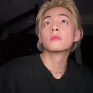 Taehyung @florahelp2