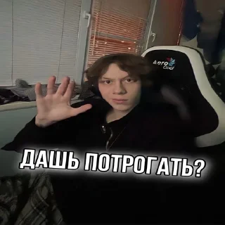 🔪 Хозяева твича 🥶🥶🥶, стикер Telegram 17 из 43
