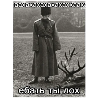 🤣 Колян Второй, стікер Telegram 9 з 30