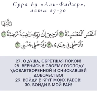 Quran 17:81