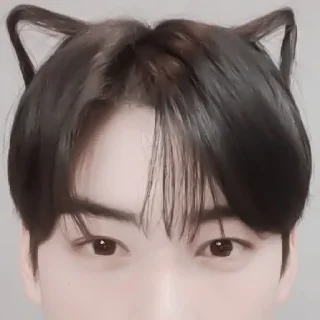 🎂 #𝐇𝐁𝐃: eunwoo 🎂 ;: by @paradismaudit, sticker Telegram 13 sur 50