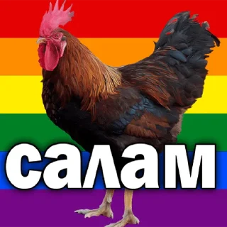 🙄 Мы не пидоры!!, Telegram sticker 8 of 12