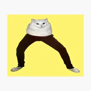 🌟 😂😺мемные котики, Telegram sticker 16 of 46