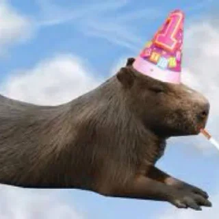 🥳 Капибарочки😍, Telegram sticker 1 of 34