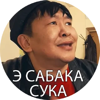 😖 Боевые буряты, sticker Telegram 10 sur 34