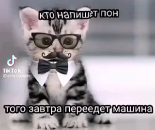 🌟 Дизлуйк, Telegram sticker 14 of 50