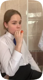 🌟 PrigsProCrate, стікер Telegram 11 з 15