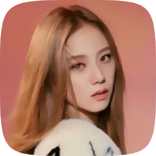 💐 (#💐) Jisoo | Джису ¡! @sstick3rs, стикер Telegram 18 из 22