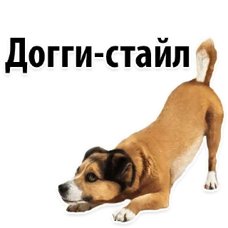 🐕 Пошлые разговоры @stikery_porno, Telegram sticker 20 of 30