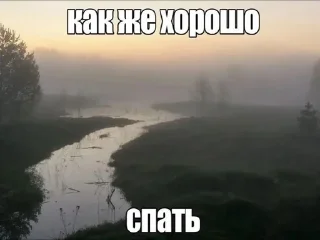 🌟 щп, стикер Telegram 13 из 50