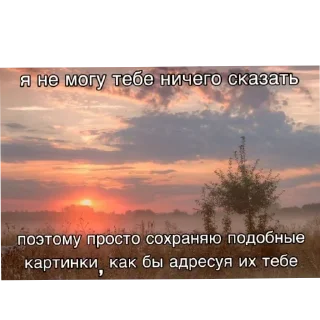 👍 жиза, стикер Telegram 23 из 76