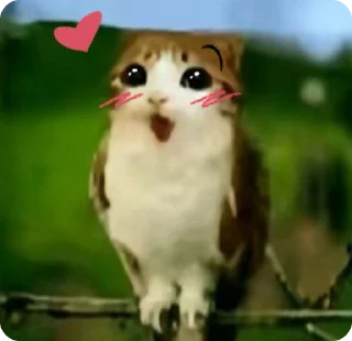 😍 meowl :: @rxoulw, sticker Telegram 13 sur 38