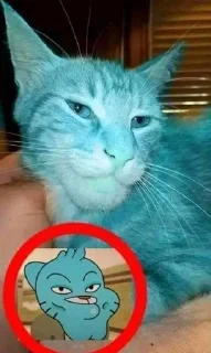 стики по гамболу