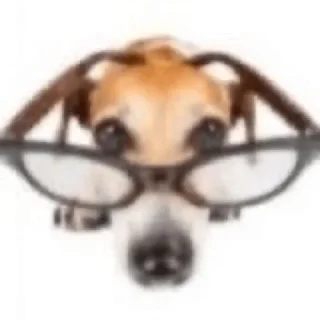 🌟 мои любимые картинки, стикер Telegram 23 из 75