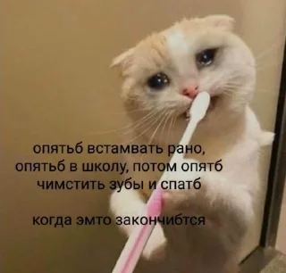 ⭐️ Memes @Stikerhi_bot, стикер Telegram 9 из 9