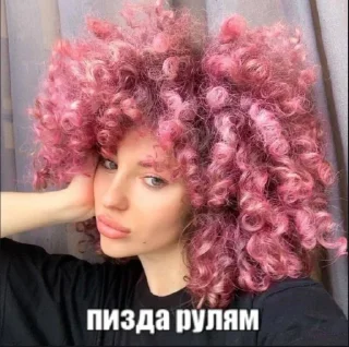 🤍 шоу пуля @vi, sticker Telegram 10 sur 89