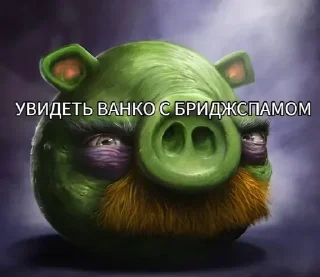 🌟 очень злые птички, Telegram sticker 18 of 35