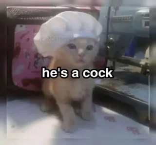 тямти лямти