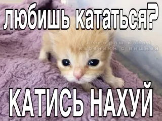 🌟 тямти лямти, Telegram sticker 23 of 119