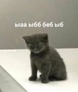 🌑 я хочу анального секса, Telegram sticker 20 of 90