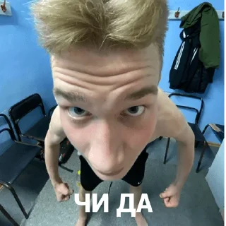 😛 БК СШОР, Telegram sticker 9 of 38