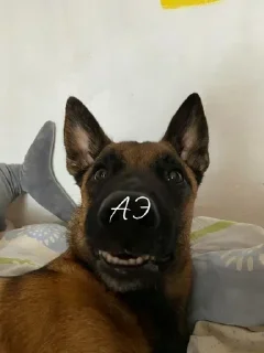 😳 Пиздец, стікер Telegram 23 з 120