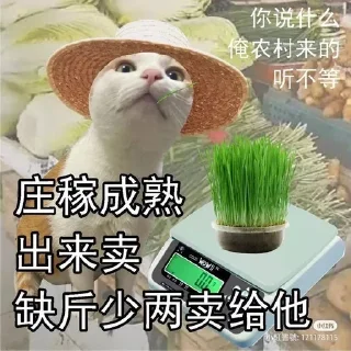 😎 im silly, стикер Telegram 23 из 85