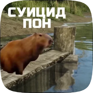 🤡 Набор стикеров @anoobys1337, Telegram sticker 10 of 50
