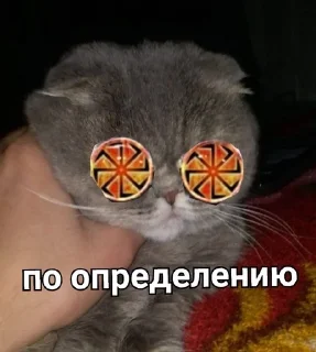 💩 кисун, sticker Telegram 14 sur 68