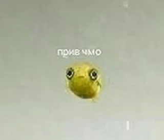 😊 Шо?, стікер Telegram 16 з 72