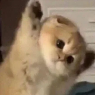 Шо