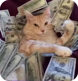 🤑 Блатной котяра🂾, sticker Telegram 15 sur 50