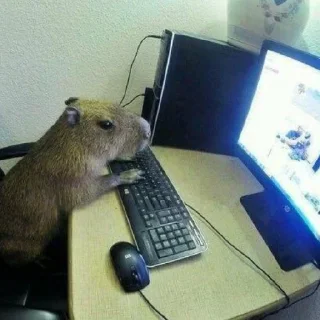 ❤️ Капибара, стикер Telegram 21 из 93