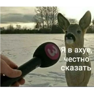 ✋ fav, стикер Telegram 8 из 100