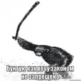 😡 Бунт блять, Telegram sticker 12 of 12