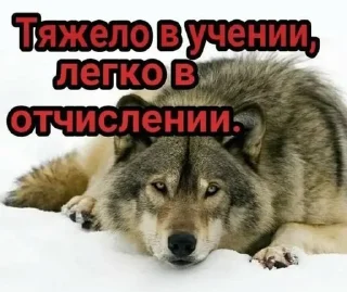 👍 учеба ебаная😡, Telegram sticker 15 of 20