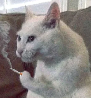 🚬 Чел ёбу дал., sticker Telegram 7 sur 119