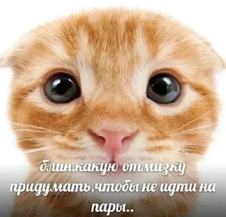 учеба ебаная😡