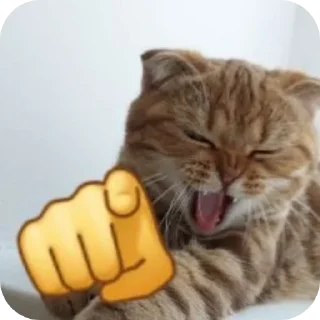 🐱 Хехехе, стикер Telegram 19 из 88