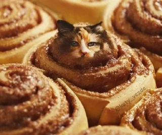 🥯 коты в еде/cats in food, стікер Telegram 20 з 60