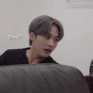 🐈 🐱 ' MINHO @URHELP, sticker Telegram 12 sur 22