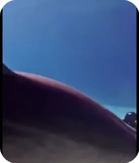 Animated Dolphins 🐬 By @y_u_q_