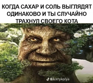 👰‍♂ Мудрое дерево мурло, Telegram sticker 4 of 11